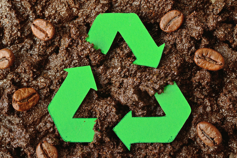 16 Interesting Ways to Use Your Coffee Grounds