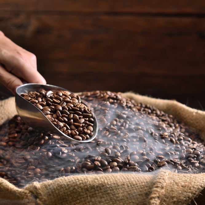 Coffee Roasts: A Bitter-Sweet Symphony