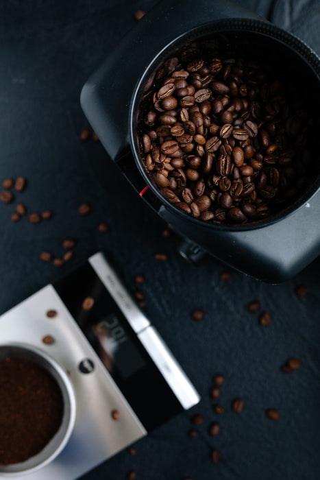 WILFA COFFEE GRINDER - Barista Shop
