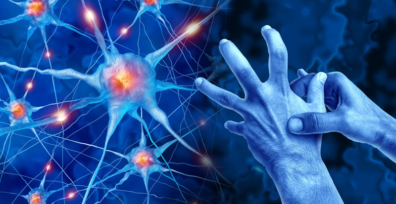 Can Drinking Coffee Prevent Parkinson’s Disease?