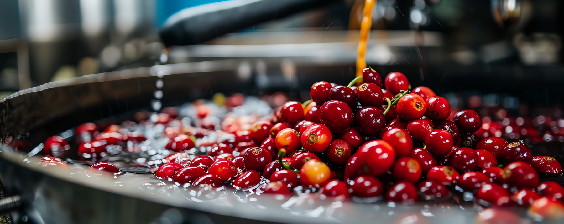 What is Fermented Coffee?