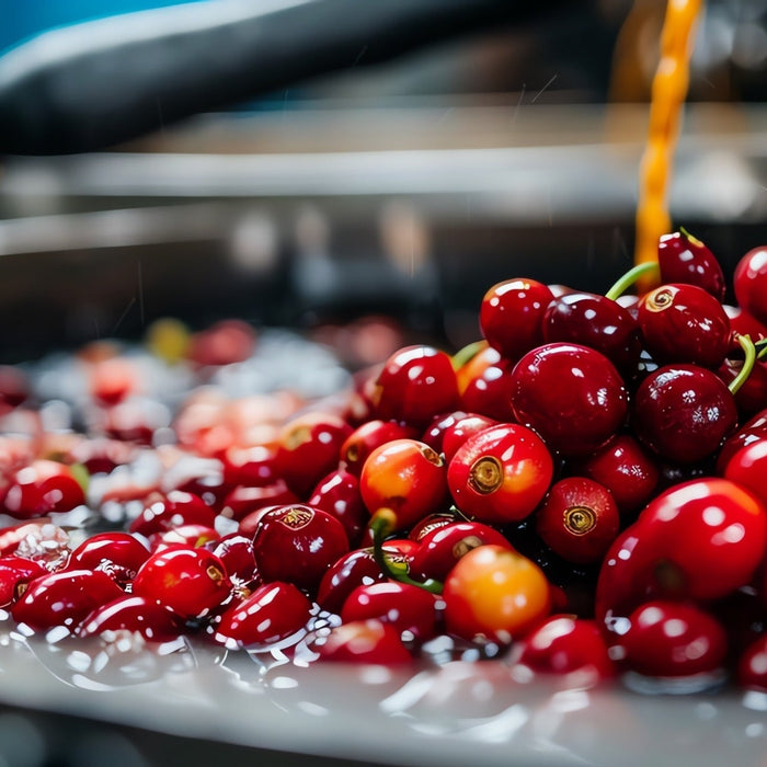 What is Fermented Coffee?
